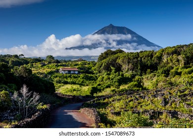 Scenery  with mount Pico in the background, Pico island ,Azores