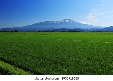 scenery of Mt.Chokai over the countryside, early summer in the Shonai Plain, Yamagata Prefecture, Japan