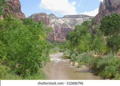 Scenery Near Zion Lodge In Zion National Park