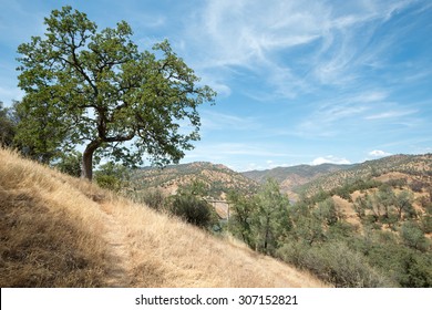Scenery Of Northern California Landscape.