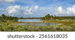 Scenery on the Camp Murphy MTB (Mountain Bike Trail) at Jonathan Dickinson State Park, Florida