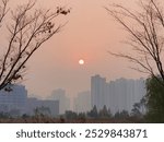 The scenery on the path of the Incheon Ara Waterway.