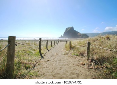 The Scenery Of Path To Piha Beach, New Zealand