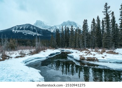 Scenery of rocky mountains and pine forest on frozen lake in gloomy at Canmore, Canada - Powered by Shutterstock