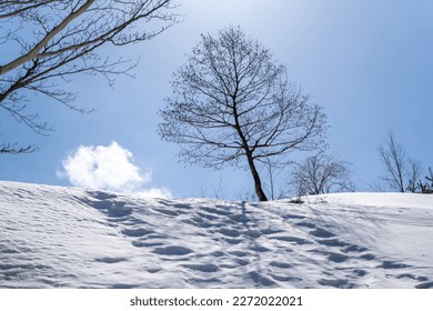 Scenery of snow climbing Mt. Iozen and Mt. Shirahage in Kanazawa City, Ishikawa Prefecture, Japan. 石川県金沢市にある医王山、白兀山を雪山登山している風景 