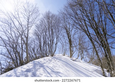 Scenery of snow climbing Mt. Iozen and Mt. Shirahage in Kanazawa City, Ishikawa Prefecture, Japan.石川県金沢市にある医王山、白兀山を雪山登山している風景 