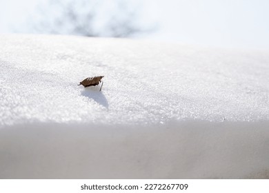 Scenery of snow climbing Mt. Iozen and Mt. Shirahage in Kanazawa City, Ishikawa Prefecture, Japan.石川県金沢市にある医王山、白兀山を雪山登山している風景 