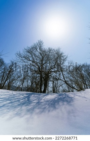 Scenery of snow climbing Mt. Iozen and Mt. Shirahage in Kanazawa City, Ishikawa Prefecture, Japan.石川県金沢市にある医王山、白兀山を雪山登山している風景  ストックフォト © 