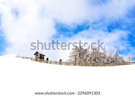 Scenery of Snowy Korean Sheep Farms