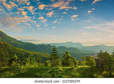 scenery of trees and mountains,Panoramic views of picturesque rolling hill landscape with blooming meadows and snowy alpine peaks in the background on a beautiful sunny day with blue skies and spring  - Powered by Shutterstock