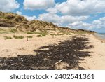 Scenery at Utah Beach which was one of the five areas of the Allied invasion of German-occupied France in the Normandy landings on 6 June 1944