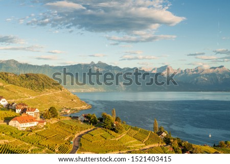 Scenery view of vineyards of the Lavaux region over Leman lake (Geneva Lake) with French Alps, blue sky and white clouds, Switzerland.