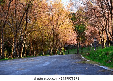 Paisaje cerezo silvestre del