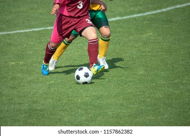 Scenery Of The Women's Soccer Game