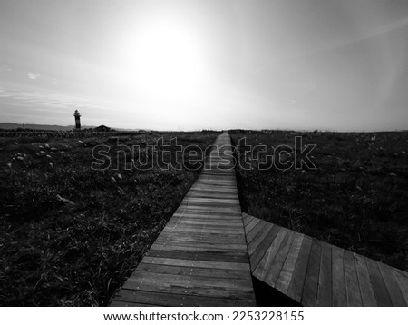 Similar – Image, Stock Photo Little girl jumping on a path of wooden boards in a wetland