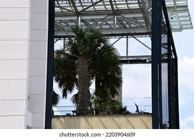 Scenes Of Charleston Harbor, SC USA