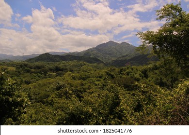 Scenes Of Jungle And Of Beaches￼ In Honduras Central America￼