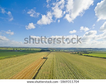 Similar – Image, Stock Photo maize field Landscape Sky