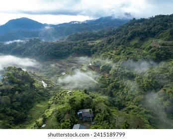 Scenic aerial shot capturing the tranquil beauty of mist-covered mountains, lush forests, and rice terraces at dawn. At the town of Banaue, in the province of Ifugao, Philippines. - Powered by Shutterstock