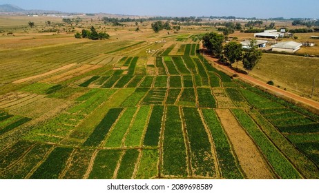 1,407 Nigeria farm Images, Stock Photos & Vectors | Shutterstock