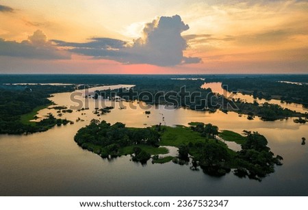 Scenic aerial sunset view of rainforest water jungle in Amazonas state Brazil