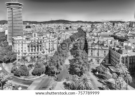 Image, Stock Photo Ramblas Sky Tree