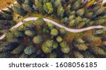 Scenic aerial view of a winding trekking path in a forest. Trekking path in the forest from above, drone view. Aerial top view of a trail in the middle of a forest. Aerial view of footpath in forest.