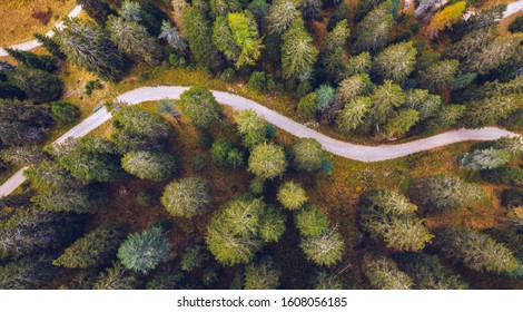 Scenic aerial view of a winding trekking path in a forest. Trekking path in the forest from above, drone view. Aerial top view of a trail in the middle of a forest. Aerial view of footpath in forest.