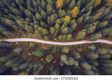 Scenic aerial view of a winding trekking path in a forest. Trekking path in the forest from above, drone view. Aerial top view of a trail in the middle of a forest. Aerial view of footpath in forest. - Powered by Shutterstock