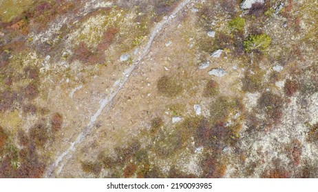 Scenic Aerial View Of A Winding Trekking Path In A Forest. Trekking Path In The Forest From Above, Drone View. Aerial Top View Of A Marvelous Golden Autumn Colors Mountain Range. Altai Mountains.