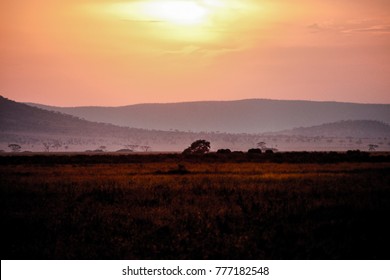 Scenic African Sunset Safari National Park Stock Photo 777182548 ...