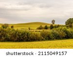 Scenic agricultural green, yellow, brown hill surrounded with bushes and several bigger trees and grey sky. Beautiful landscape photo of small hill with one tree and surrounded bushes at fall day. 