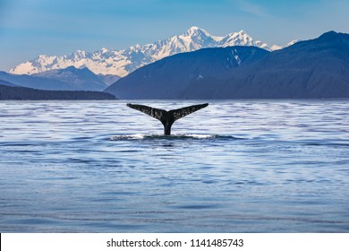 Scenic Alaskan landscape with a whale tail in the foreground 