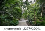 A scenic alley in Harry P Leu gardens , variety of palm trees on both sides of the alley, selective focus.