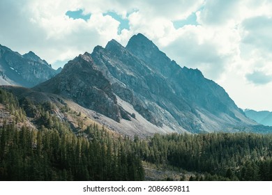 Scenic alpine landscape with great dragon shaped mountain under cloudy sky. Beautiful mountain scenery with big sharp rocks in cloudy sky above coniferous forest. Awesome high mountain with peaked top