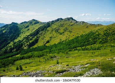 Scenic alpine landscape with green mountainside with conifer forest and big crags. Vivid green mountain scenery with coniferous trees and big rocks on hillside. Big stones and trees on steep slopes.