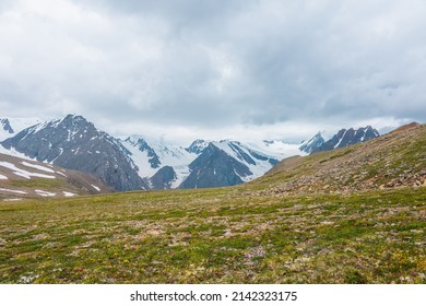 Scenic alpine view from sunlit green grassy hill to high snowy mountain range with sharp tops and glaciers under gray cloudy sky. Colorful landscape with large snow mountains at changeable weather.