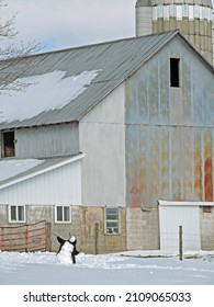  Scenic Amish Farm In Northeast Ohio