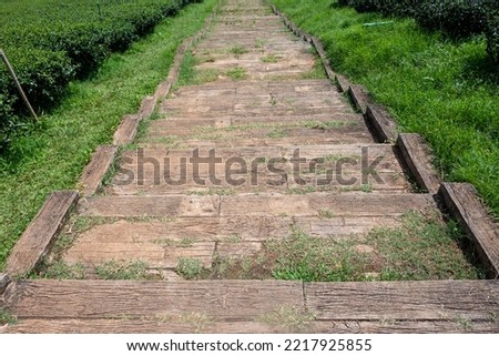 Scenic of ancient brick or stone stair downhill with green grass and tree at side path. The endless cobblestone stair as walking path journeys along the hill.