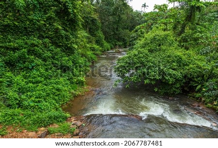 Scenic Aruvikuzhy Waterfalls at Kerala India