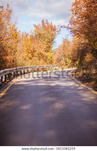 Scenic asphalt road close up photo. Autumn\
nature backgrounds