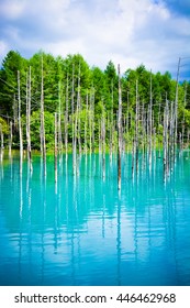 Scenic attraction blue pond in Hokkaido