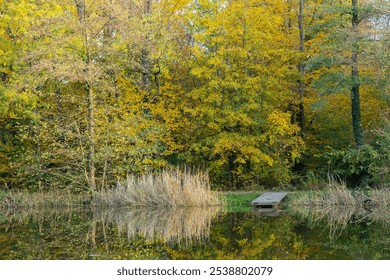 Scenic autumn lake view with a rustic wooden pier and vibrant yellow-green foliage reflected in the calm water. Tranquility, seasonal beauty and peaceful outdoor nature setting - Powered by Shutterstock