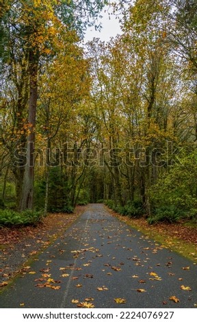 Scenic Autumn Landscape in Point Defiance park, Tacoma, Washington