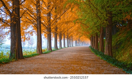 A scenic autumn pathway lined with towering trees in full fall foliage, showcasing vibrant orange and green leaves under a tranquil sky. - Powered by Shutterstock