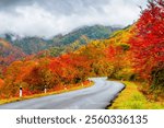 Scenic autumn road winding through vibrant fall foliage-covered mountains under a cloudy sky.