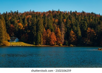 Scenic Autumn Woody Terrain Across The Blue Lake