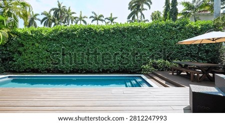 A scenic backyard area featuring a private swimming pool, wooden decking with a dining set, and a tall privacy hedge with palm trees