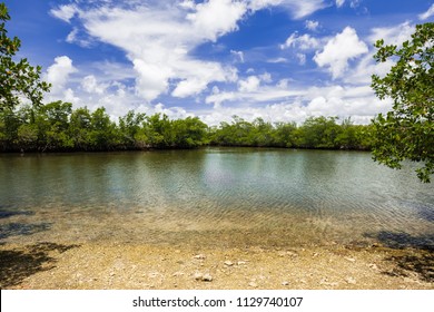 Royalty Free Rivers In Florida Stock Images Photos Vectors