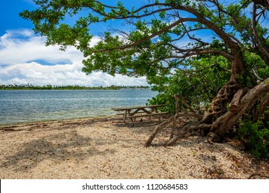 Miami Shores Florida Images Stock Photos Vectors Shutterstock